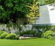 Englischer Garten Anlegen Das Beste Von Cube Magazin München