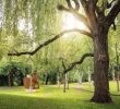 Englischer Garten Eulbach Inspirierend Sammlung Domnick Skulpturen