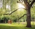 Englischer Garten Eulbach Inspirierend Sammlung Domnick Skulpturen
