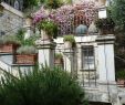Englischer Garten Parken Einzigartig Edel Emotional Domus Et Luxury Bewertungen Fotos