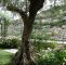 Englischer Garten Parken Einzigartig Edel Emotional Domus Et Luxury Bewertungen Fotos