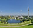 Englischer Garten Parken Schön Olympiapark Munich