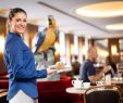 Englischer Garten Restaurant Elegant top Pfannkuchen In München Auf Tripadvisor Hier Finden Sie