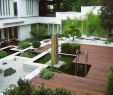 Exotische Pflanzen Für Den Garten Einzigartig Zimmerpflanzen Groß Modern — Temobardz Home Blog