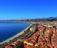 Exotischer Garten Von Monaco Das Beste Von Sprachschule Sprachcaffe Nizza Frankreich