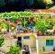 Exotischer Garten Von Monaco Luxus Villa Sud Nice Bewertungen Fotos & Preisvergleich Nizza