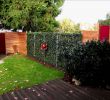 Fallschutzmatten Garten Das Beste Von Einfahrt Günstig Gestalten — Temobardz Home Blog