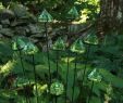 Feng Shui Garten Beispiele Schön Made From Glass Deck Prisms these Accents Collect Light and