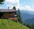Ferienhaus Schwarzwald Mit Hund Eingezäunter Garten Genial Brunnstallhütt´n Am Horberg Eingezäunter Garten
