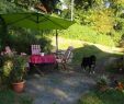 Ferienhaus Schwarzwald Mit Hund Eingezäunter Garten Genial Ferienhaus Zamperl In Polling In Oberbayern –