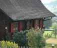 Ferienhaus Schwarzwald Mit Hund Eingezäunter Garten Genial Schwarzwald Ferienhäuser Ferienhütten In Herrlicher Lage