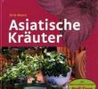 Flora Garten Frisch asiatische Kräuter