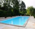 Frankfurter Garten Frisch Swimming Pool In Frankfurt — Temobardz Home Blog