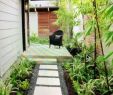 Garten Angebote Elegant Hund Im Garten — Temobardz Home Blog