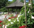Garten Anlegen Mit Steinen Einzigartig Datei Augsburg Bot Garten Am Rosenpavillon –