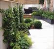 Garten Anlegen Plan Das Beste Von Kiesgarten Anlegen Ideen — Temobardz Home Blog