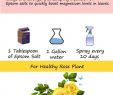 Garten App Schön 30 Diagramme Mit Denen Sie Das Wachsen Von Rosen Meistern