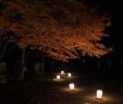 Garten Art Das Beste Von Japanische Gartenlichter Gartenlichter Japanische Garten