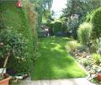 Garten Beispiele Genial Gartengestaltung Ideen Mit Steinen — Temobardz Home Blog