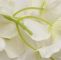 Garten Blume Neu Großhandel Künstliche Hydrangea Wisteria Blume Diy Simulation Hochzeit Bogen Tür Wohn Wandbehang Girlande Für Hochzeit Garten Dekoration Von Sundon