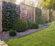 Garten Bodenbelag Elegant Garten Pflanzen Sichtschutz — Temobardz Home Blog