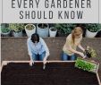 Garten Box Reizend 9 Kreative Garten Hacks & Tipps Jeder Gärtner Kennen