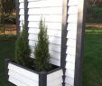 Garten Breuer Reizend Pflanzen Als Sichtschutz Balkon — Temobardz Home Blog