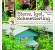 Garten Buch Inspirierend Biene Igel Schmetterling so Wird Ihr Garten Zum Naturpara S