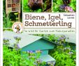 Garten Buch Inspirierend Biene Igel Schmetterling so Wird Ihr Garten Zum Naturpara S
