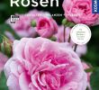 Garten Buch Schön Rosen Mein Garten