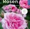 Garten Buch Schön Rosen Mein Garten