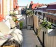 Garten Büsche Inspirierend Sadzenie Balkonu 60 oryginalnych PomysÅ³w