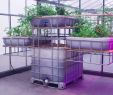 Garten Container Elegant Ein Container Der Das Logistiksystem Revolutioniert