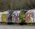 Garten Container Inspirierend Besprühte Container Müssen Aus Auscht Werden Friesenheim