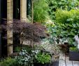 Garten Container Inspirierend Pin Von Living & Interior Design Auf House & Garden Casa Y