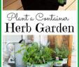 Garten Container Luxus 35 Kreative Gartenhacks Tipps Jeder Gärtner Wissen