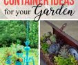 Garten Container Schön 39 Einzigartige Und Kreative Gartencontainer Ideen An