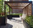 Garten Dach Frisch Design & Installation Plant Specialists