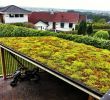 Garten Dach Inspirierend Sedum Roof Garden