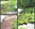 Garten Deko Ideen Selbermachen Elegant Gartendeko Selber Machen — Temobardz Home Blog