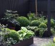 Garten Dekoration Das Beste Von Gartendusche Sichtschutz Sichtschutz Pflanzkasten Terrasse