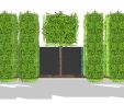 Gärten Der Welt Preise Genial Zimmerpflanzen Groß Modern — Temobardz Home Blog