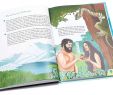 Garten Eden Bibel Einzigartig Vom Anfang Der Welt Ting Buch