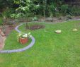 Garten Einrichten Genial Rasenkantensteine Leicht Und Einfach Verlegen Pflanzbeete
