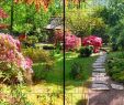 Garten Englisch Genial Natur Panorama Xl Bedruckte Sichtschutzstreifen Für Doppelstabmattenzaun