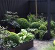 Garten Gabionen Das Beste Von Gabionen Gartengestaltung Bilder — Temobardz Home Blog