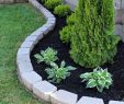 Garten Gestalten App Elegant Pin Auf Backyard Ideas