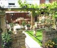 Garten Gestalten Mit Steinen Genial Gartengestaltung Bilder Sichtschutz Luxus 45 Einzigartig