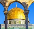 Garten Gezemaneh Inspirierend Globalis Erlebnisreise israel Und Palästina