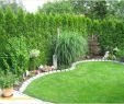 Garten Günstig Gestalten Reizend Weißer Garten Pflanzplan — Temobardz Home Blog